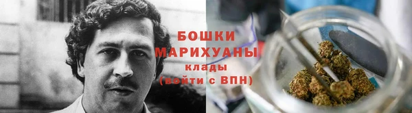дурь Нея