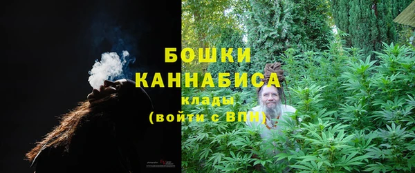 дурь Нея